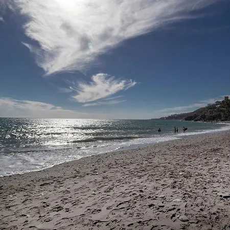 Paradise, Nº5